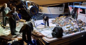 Denize açılan balıkçılar bir gecede milyoner oldu