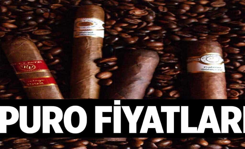 Puro Fiyatlari 1024x622WM6.jpg
