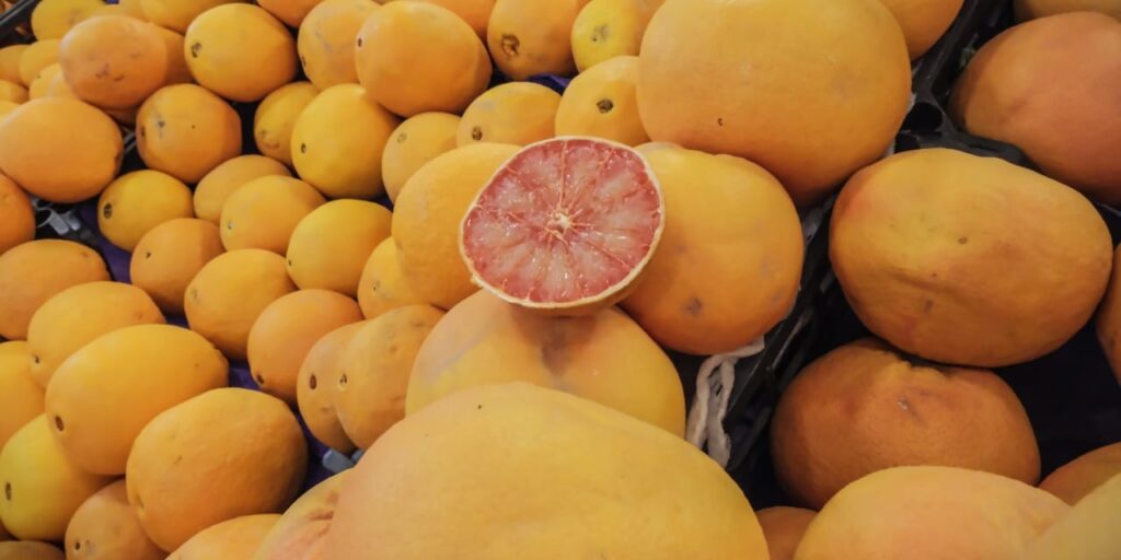 ihracatin-lokomotifi-turuncgil-oldu-gelirler-yuzde-61-yukseldi-XfRtecC1