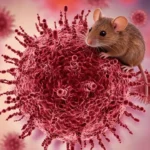 yolcu-gemisinde-olumlere-neden-olan-hantavirus-hakkinda-neler-biliniyor-tIDYRX5K